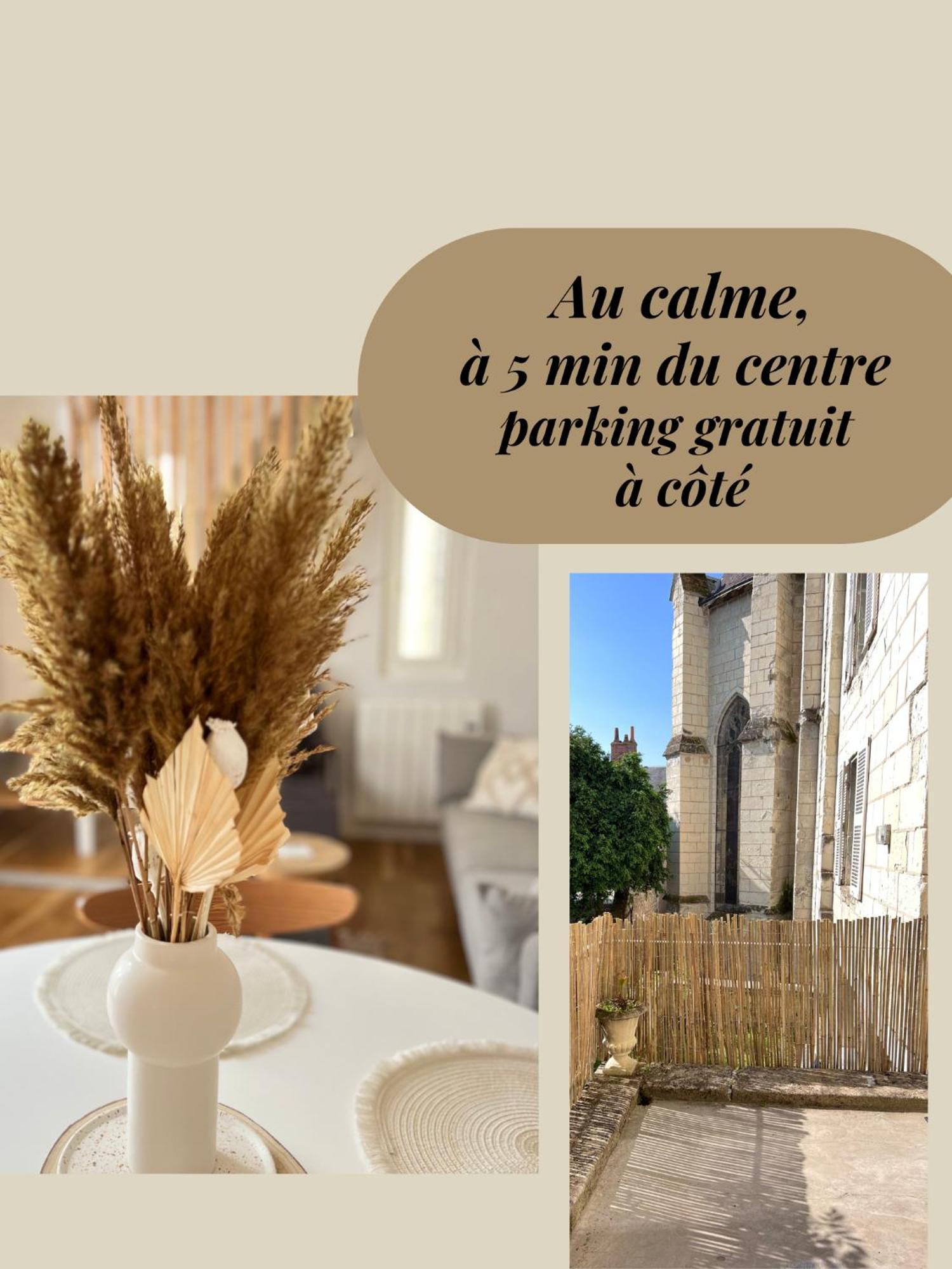 Le Jeanne, Appartement En Duplex Proche Forteresse Et Centre Ville Chinon Exterior foto